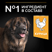 Сухой корм Pro Plan Large Robust для взрослых собак крупных пород, с курицей 18 кг